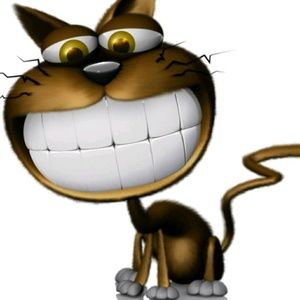 Meet your Posher, Maegan